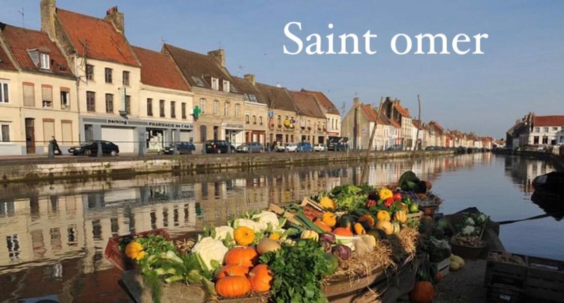 Le Clos Des Bambous Saint-Martin-Lez-Tatinghem Luaran gambar
